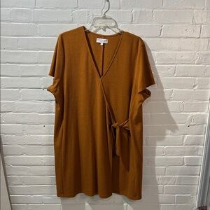 Madewell Texture & Thread Burnt Orange Dress